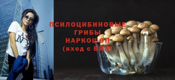 дживик Алексеевка