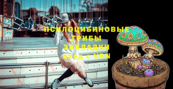 стаф Алзамай
