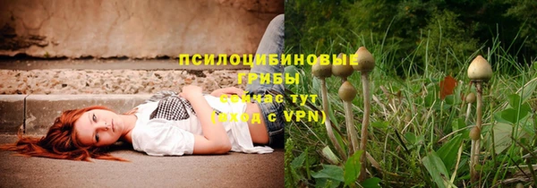 дживик Алексеевка
