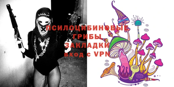 дурь Алексин