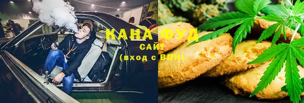 стаф Алзамай