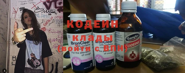 дурь Алексин