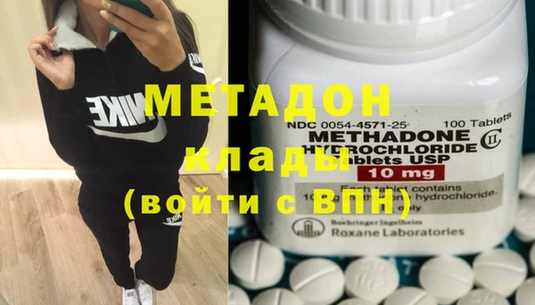 стаф Алзамай