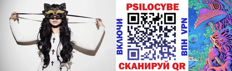 где купить   Самара  Псилоцибиновые грибы Psilocybine cubensis 